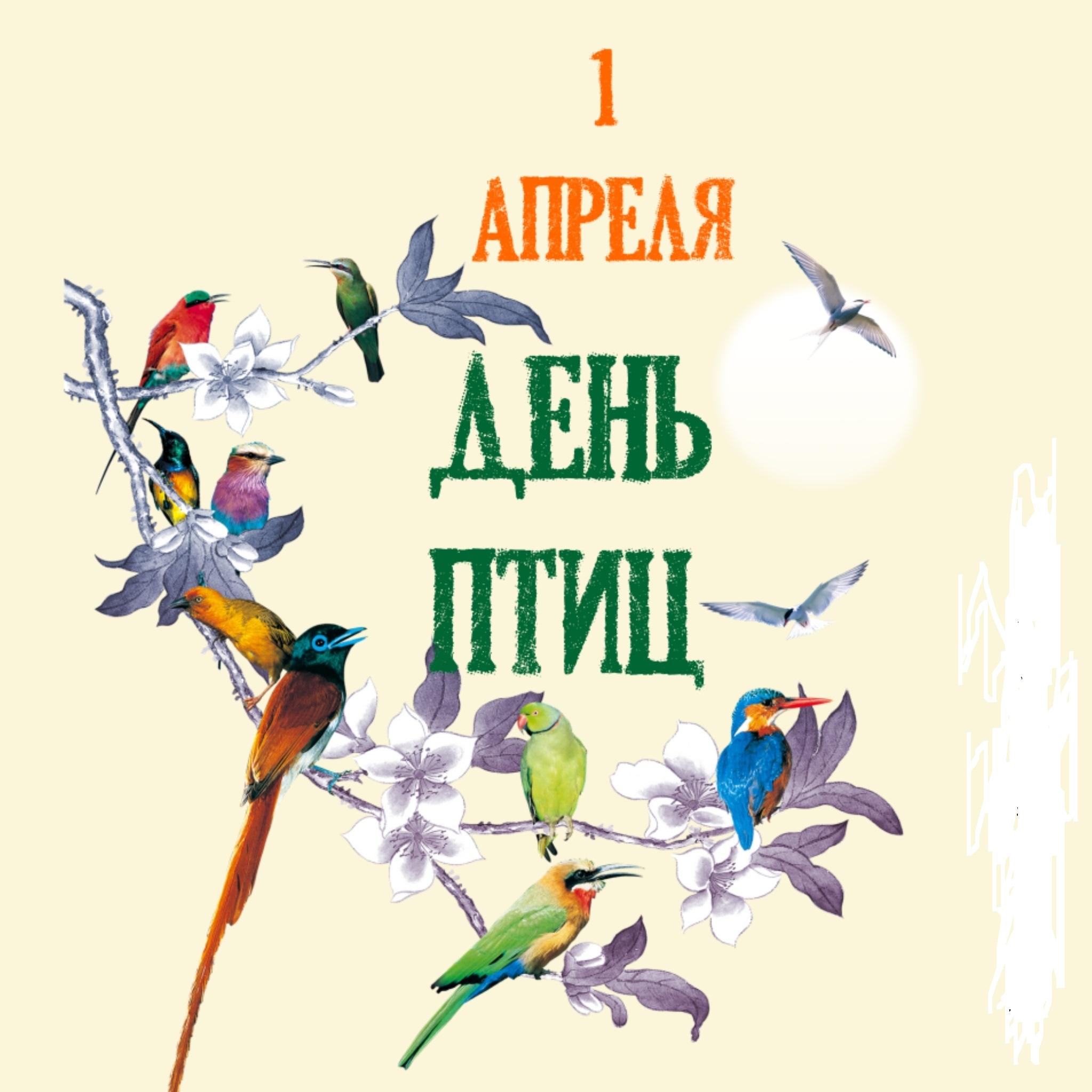 1- апреля "Международный день птиц"